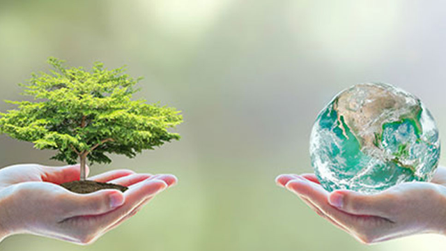 Green University 2e édition : formez-vous et réalisez votre projet interdisciplinaire pour répondre au défi climatique!