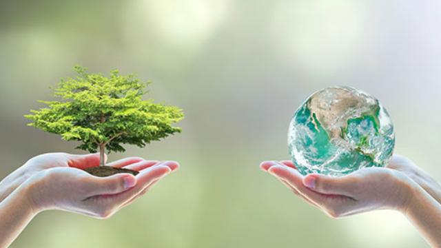 Green University Second Edition - Disrupt Campus